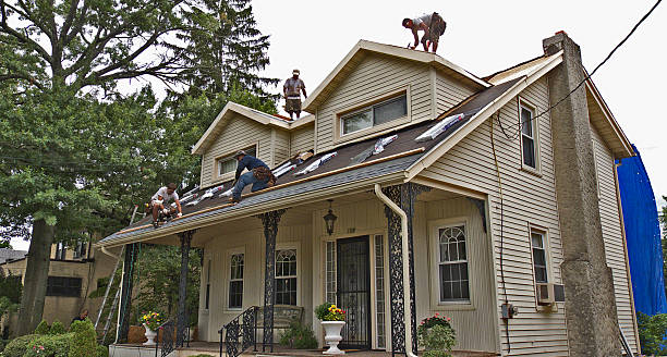 Best Shingle Roofing Installation  in Sparta, TN